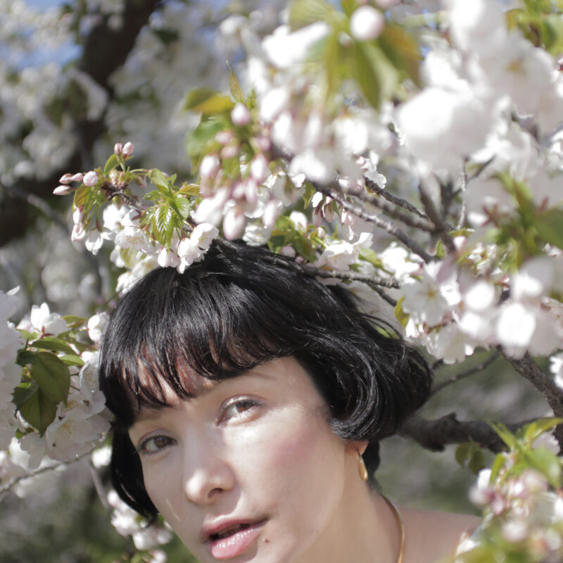 Bloom / Decay